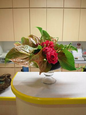 バラ アンスリウム 縞フトイ 受付の花