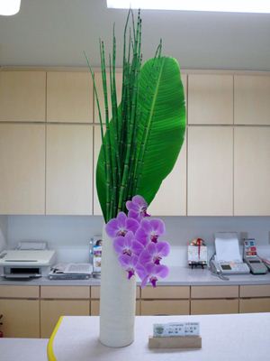 芭蕉の葉 トクサ 胡蝶蘭 受付の花