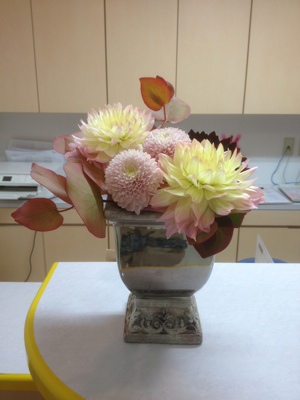 ダリア ピンポンマム コルダータ 受付の花