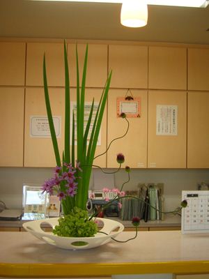 オクラレルカ 丹頂リーキ リューココリネ カラベレ あじさい 受付の花