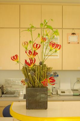 グロリオサ 柳 受付の花