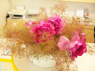 けむりの木　スモークツリー　バラ　イブピアッチェ　受付の花