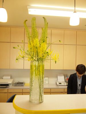 エレムルス　グロリオサ　受付の花