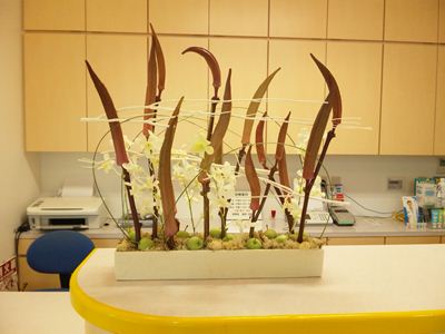 紅オクラ　晒しミツマタ　デンファレ　姫リンゴ　受付の花