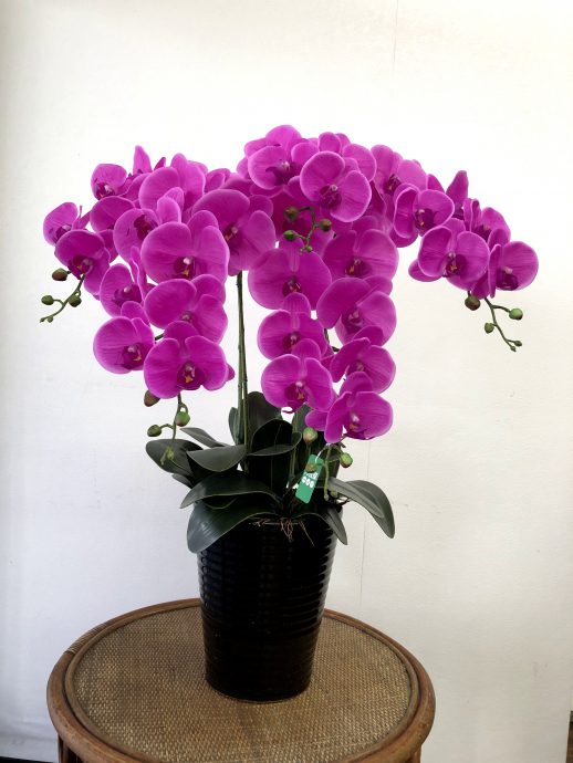 胡蝶蘭 造花 ５本立ち