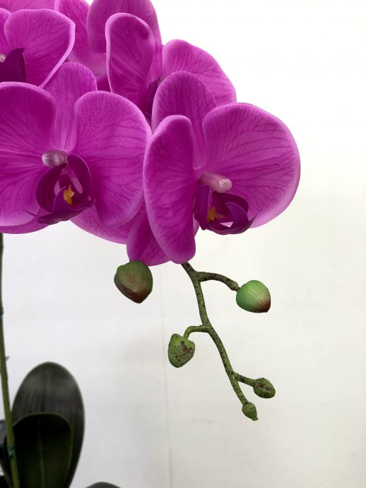 胡蝶蘭 造花 ピンク