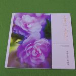 浜崎さわこ写真集「ときに・ふれて」が発売されました。