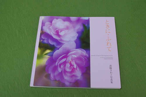 浜崎さわこ写真集「ときに・ふれて」が発売されました。