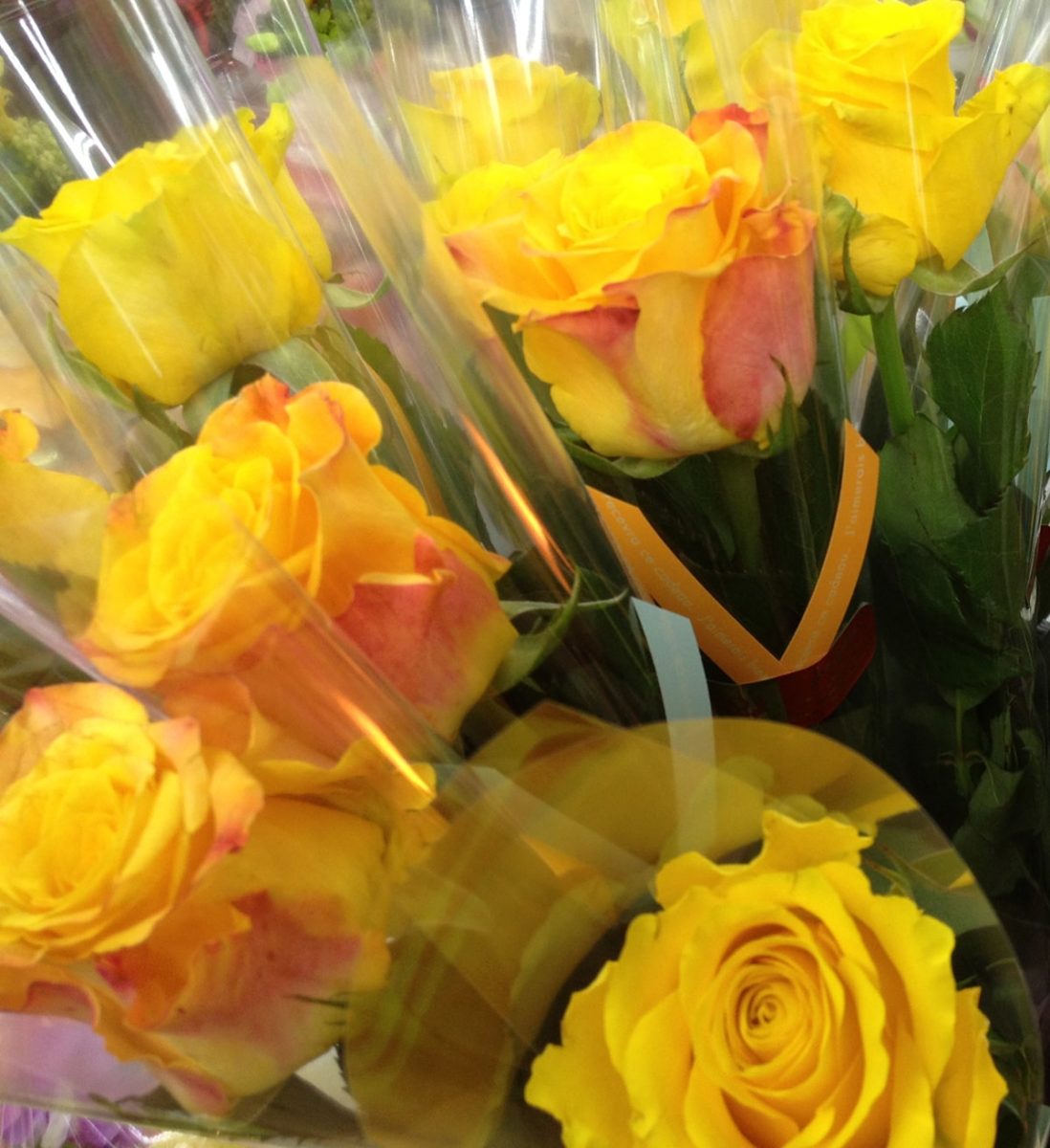 1本巻の花 卒業式 平戸市 タナカヤ花店