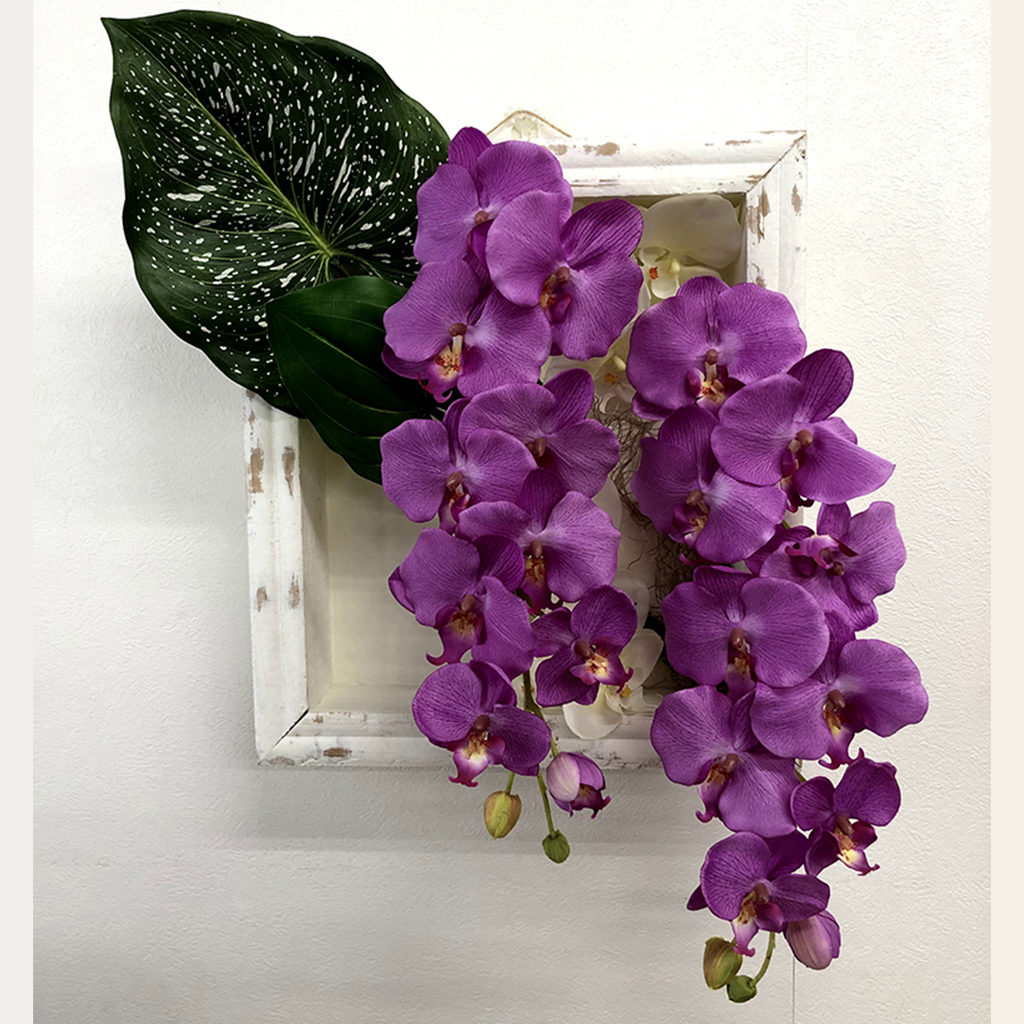 壁掛け　胡蝶蘭