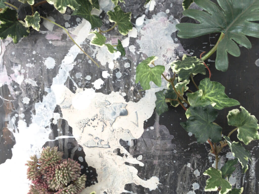 壁掛け　造花　アート　クッカバラ　セダム