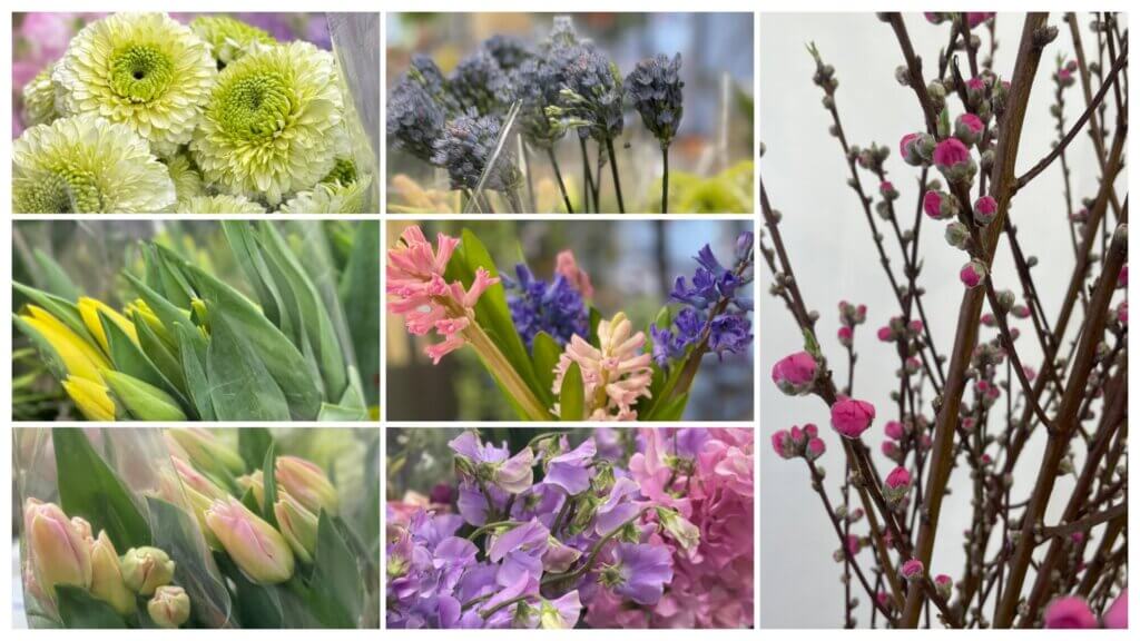 2月　花　ガーベラ　チューリップ　ヒヤシンス　桃の花　スイートピー　ブルーパフューム