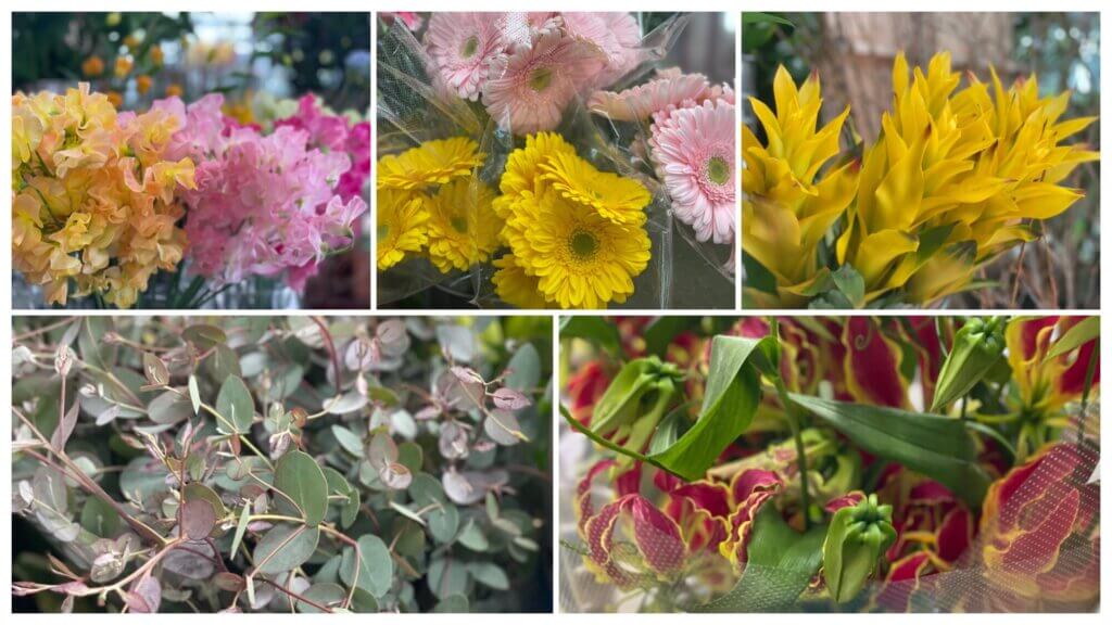 2月　ガーベラ　グズマニア　グロリオサ　ユーカリ　スイートピー