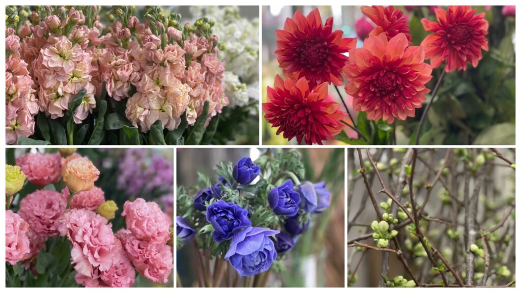 ストック　アプリコットアイアン　ダリア　ピーチマカロン　トルコキキョウ　セレブハニーピンク　アネモネ　セントブリジッド　木瓜
