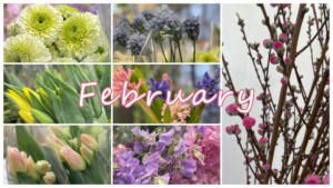 2月の花屋ブログ～花の仕入れ、フラワーバレンタインなど～