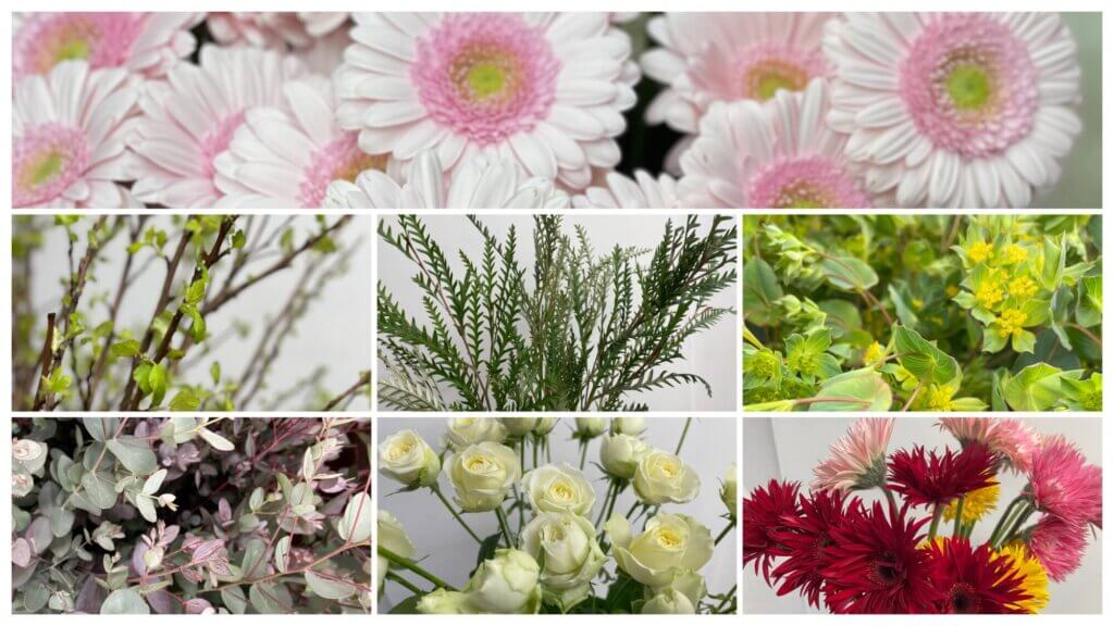 ブライダルキムシー他、3月7日に仕入れた切り花