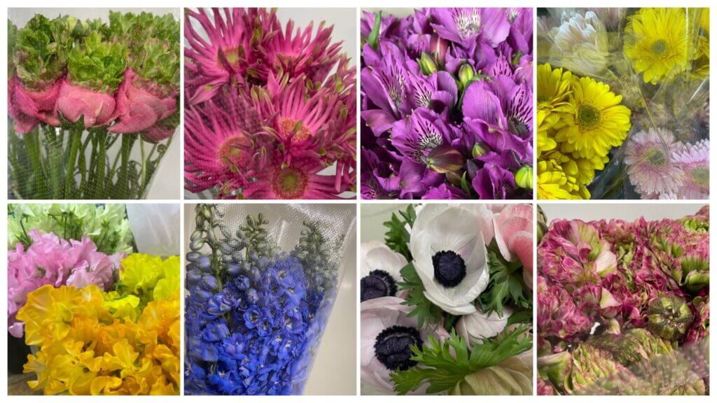 3月18日に入荷した切り花の画像