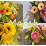 3月の花屋ブログ～花の仕入れ、卒業式、雛祭り、離任式、お彼岸など～