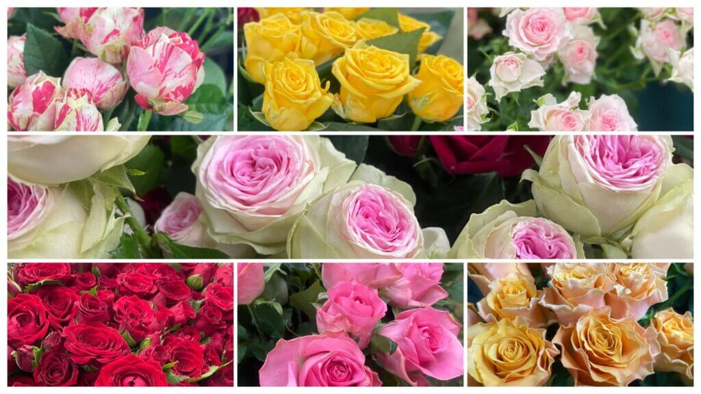 4月4日入荷のバラとスプレーバラの花の画像