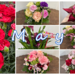 5月の花屋ブログ～花の仕入れ、母の日、端午の節句など～