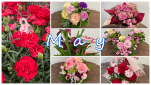 5月の花屋ブログ～花の仕入れ、母の日、端午の節句など～
