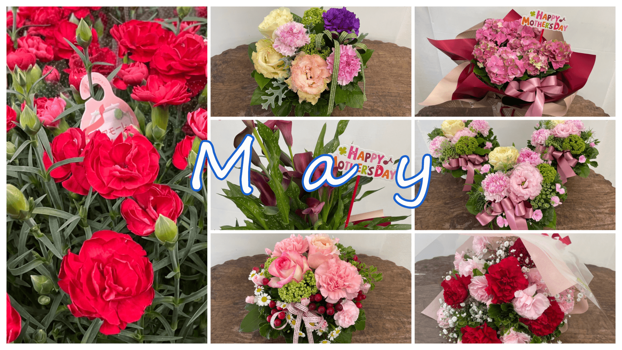 5月の花屋ブログ～花の仕入れ、母の日、端午の節句など～