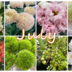 7月の花屋ブログ～花の仕入れ、新盆（7月盆）など～