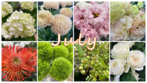 7月の花屋ブログ～花の仕入れ、新盆（7月盆）など～