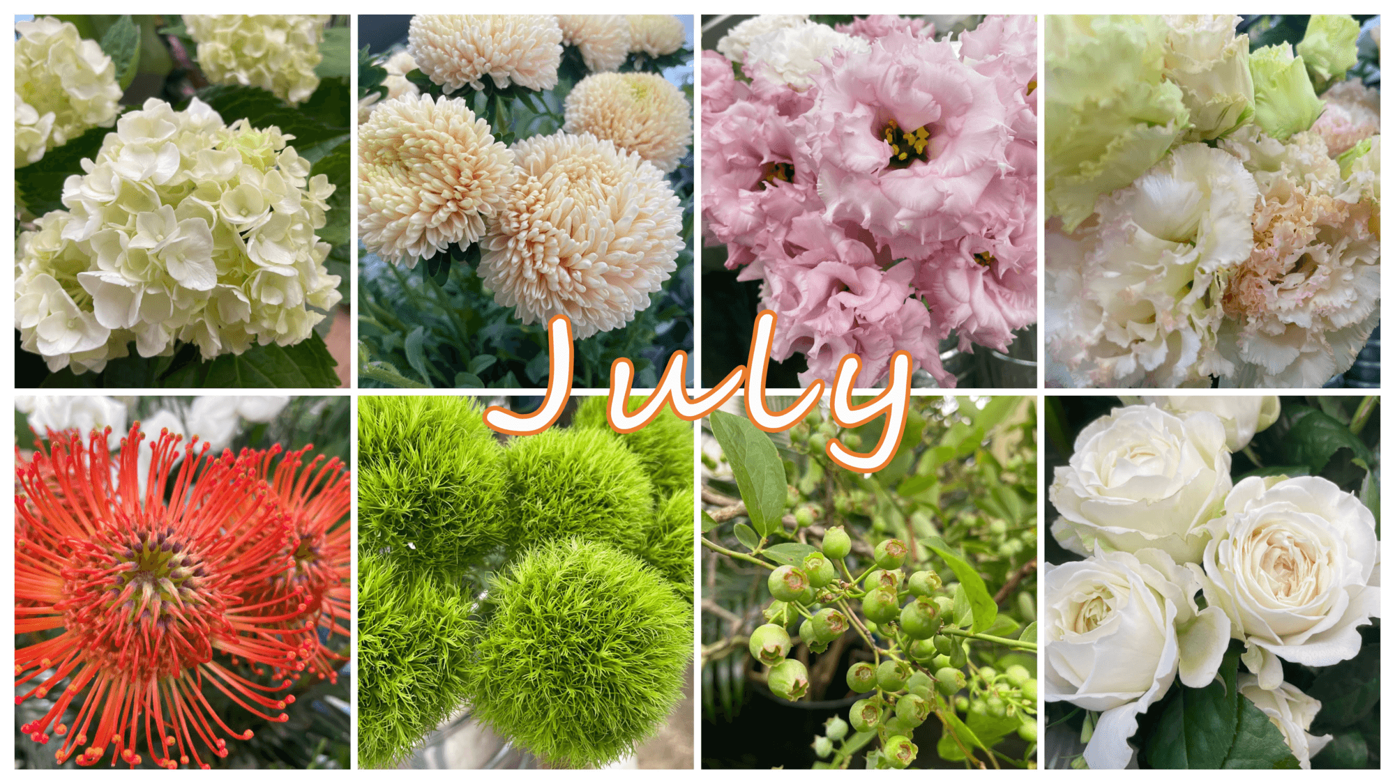 7月の花屋ブログ～花の仕入れ、新盆（7月盆）など～