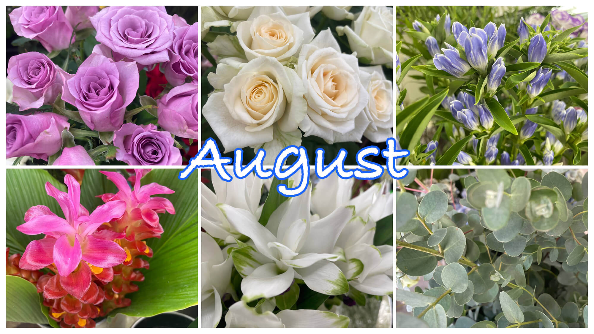 8月の花屋ブログ～花の仕入れ、お盆（初盆）など～