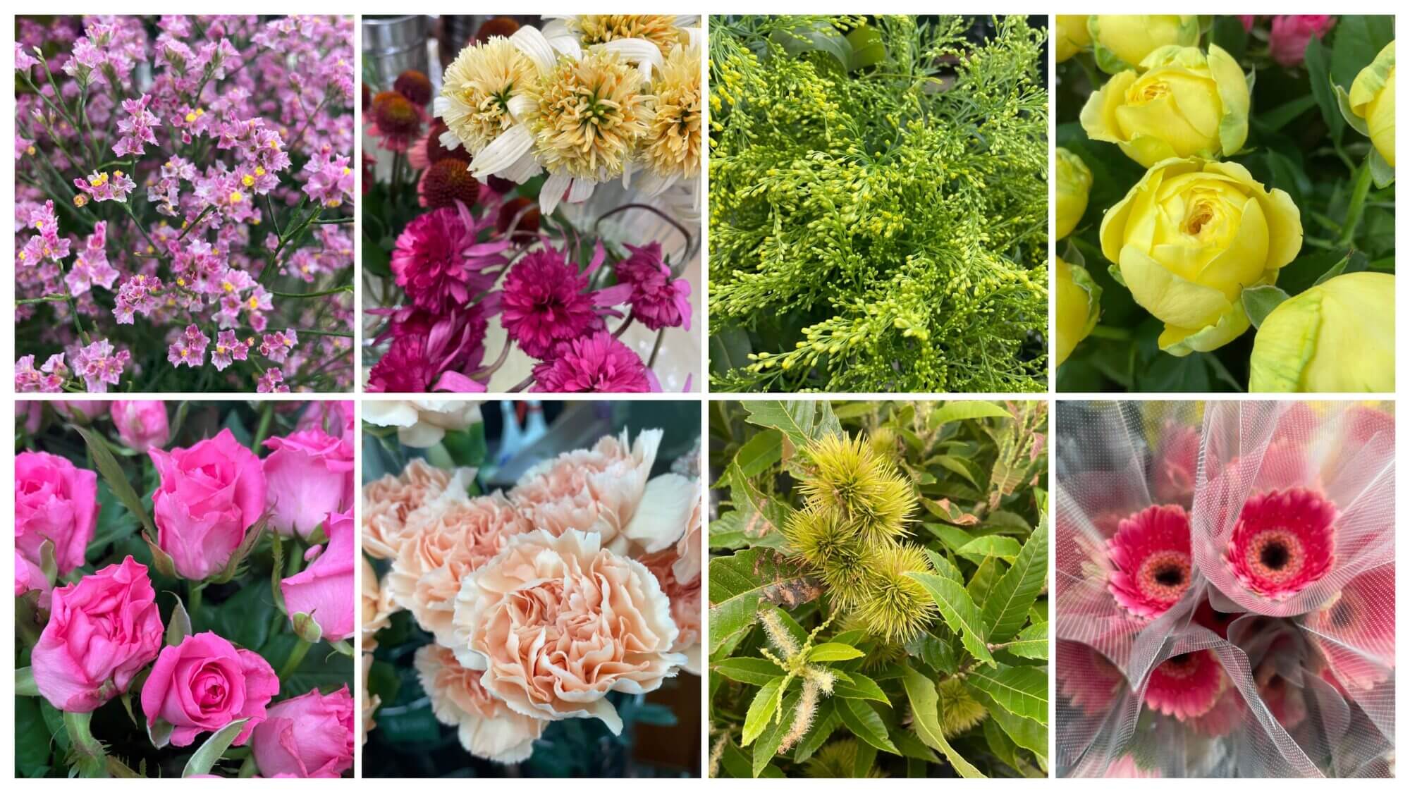 栗、ソリダコ、カーネーション