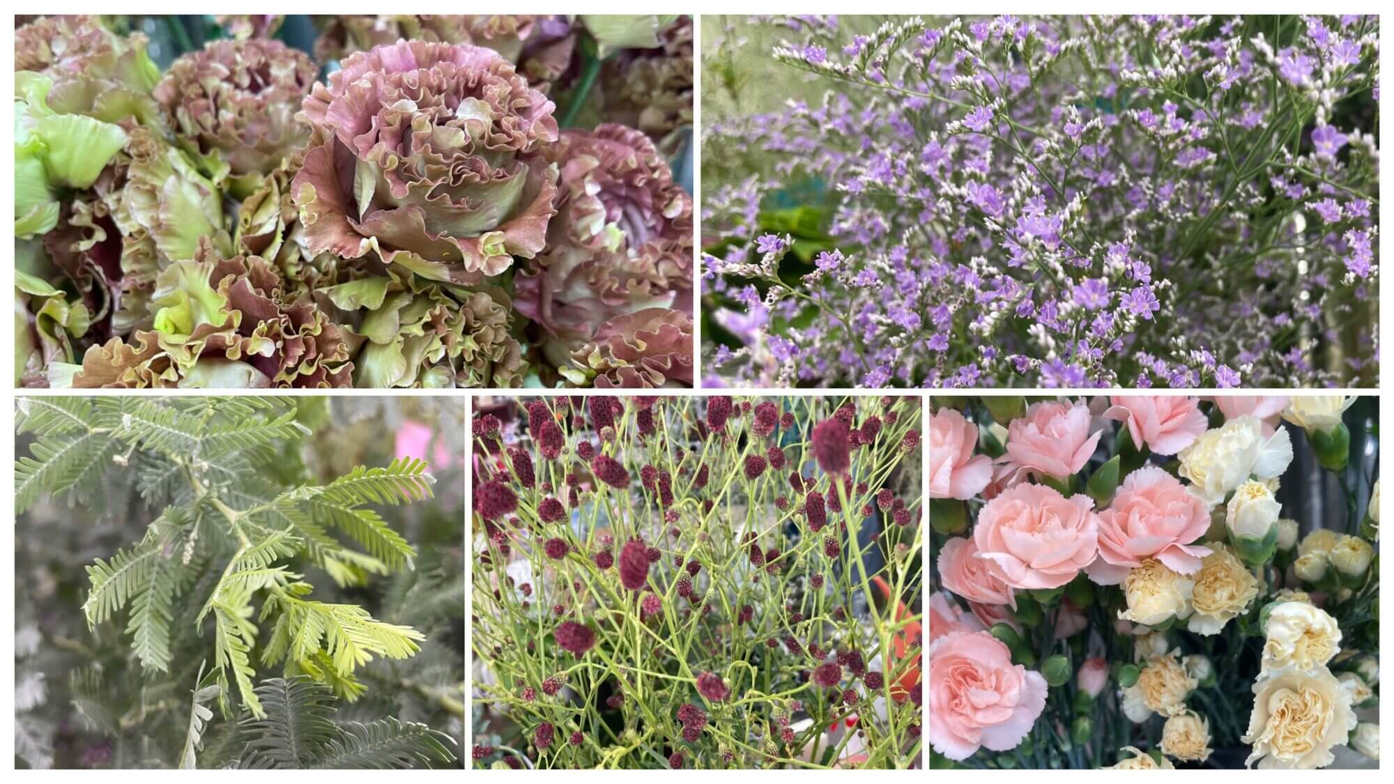 アンバーダブルショコラ