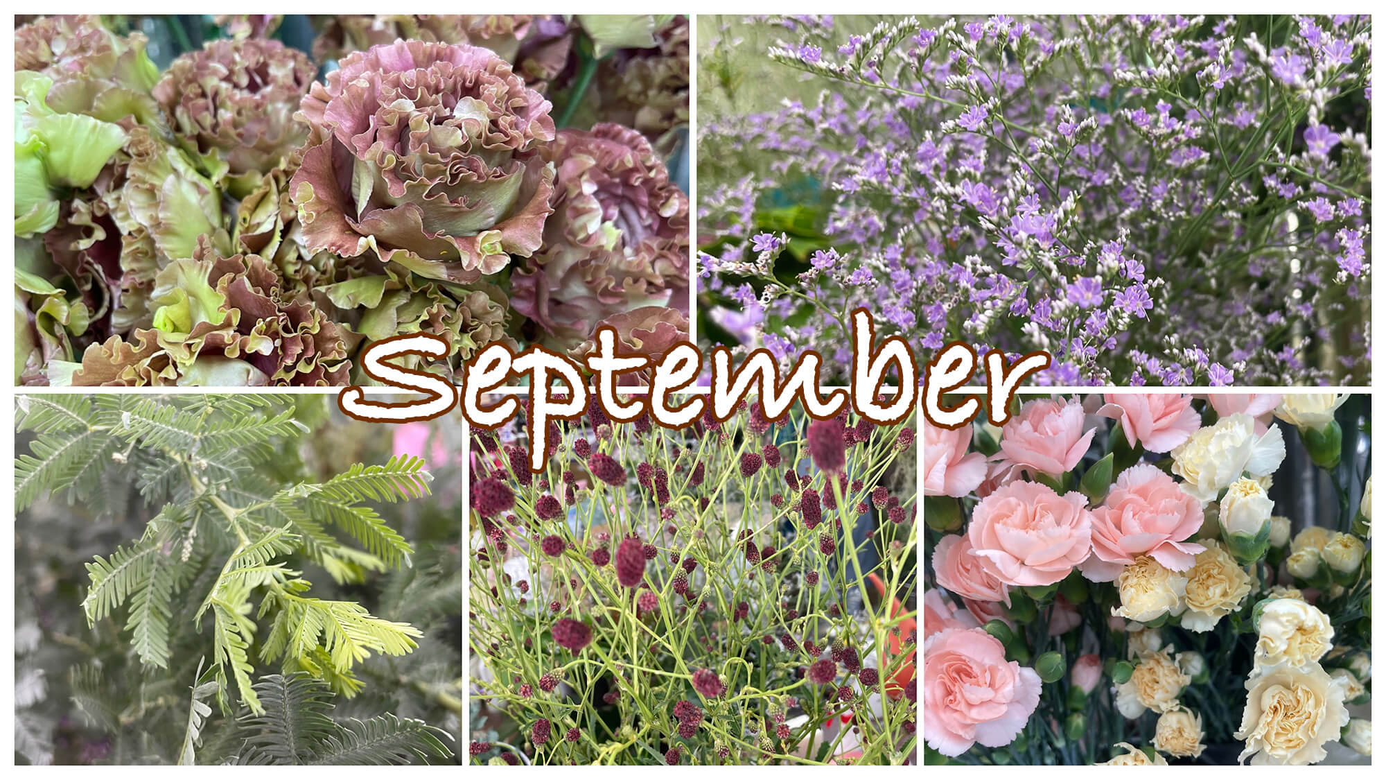 ９月の花屋ブログ〜花の仕入れ、敬老の日など〜