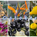 １０月の花屋ブログ〜花の仕入れ、ハロウィンなど〜