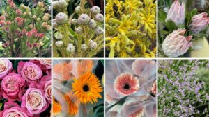 １１月の花屋ブログ〜花の仕入れ、文化祭、いい夫婦の日（11月22日）など〜