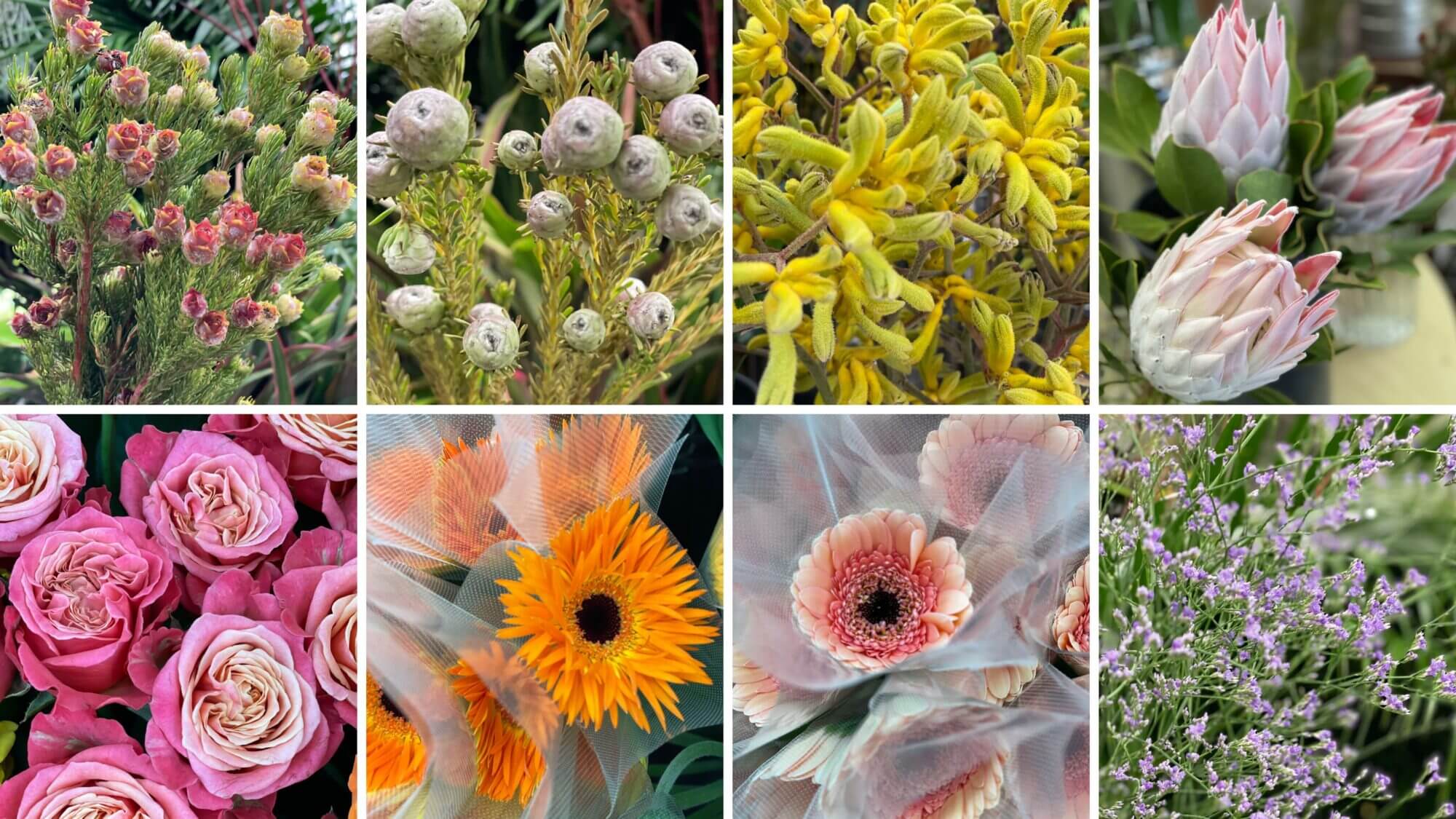 １１月の花屋ブログ〜花の仕入れ、文化祭、いい夫婦の日（11月22日）など〜