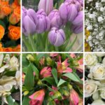 １２月の花屋ブログ〜花の仕入れ、クリスマス、新年の準備など〜