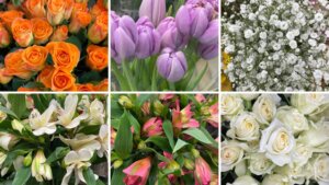 １２月の花屋ブログ〜花の仕入れ、クリスマス、新年の準備など〜