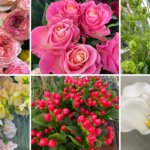 １月の花屋ブログ〜花の仕入れ、成人式など〜