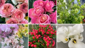 １月の花屋ブログ〜花の仕入れ、成人式など〜