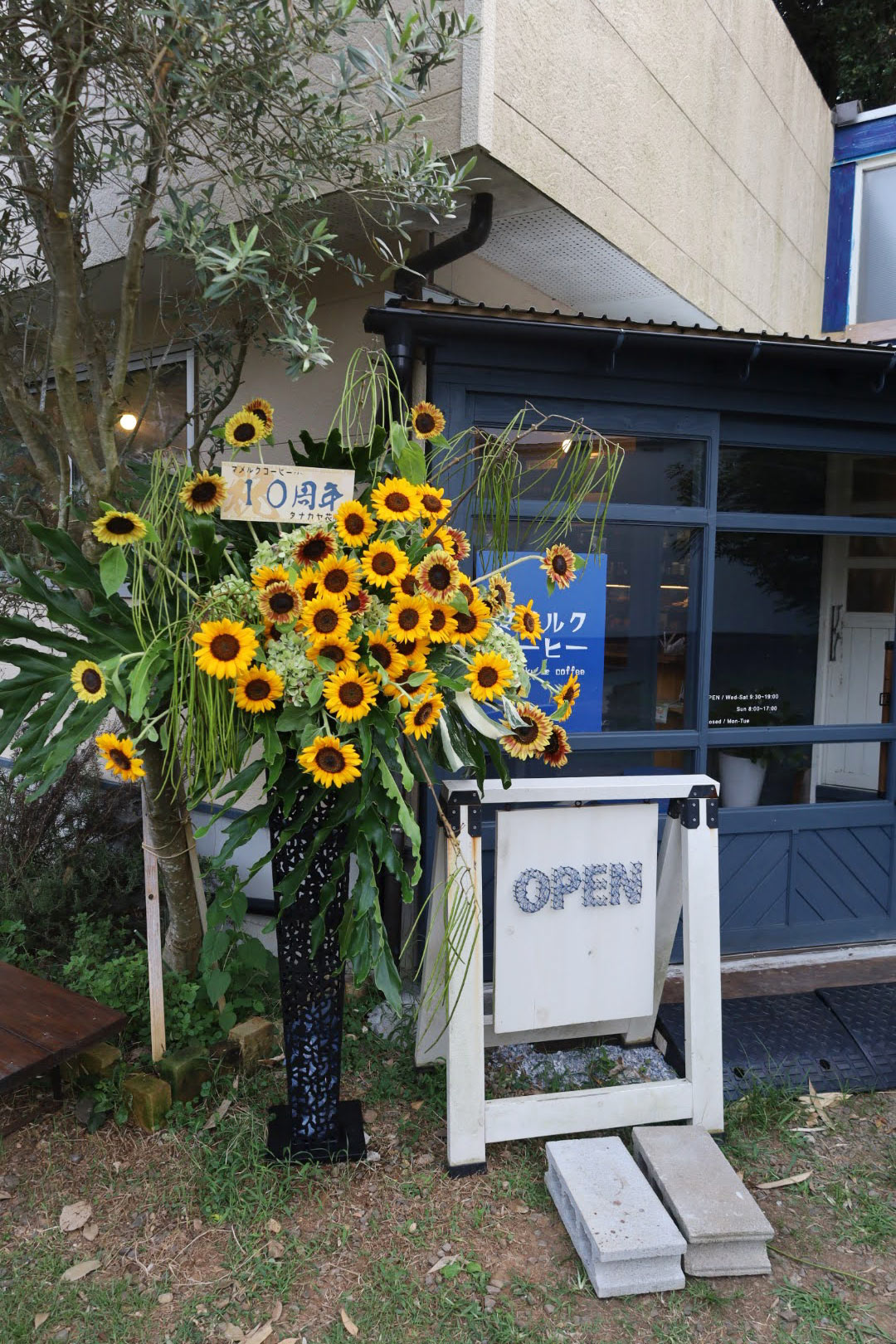 御祝スタンド花 1段 ひまわり 10周年 カフェ 平戸市 タナカヤ花店