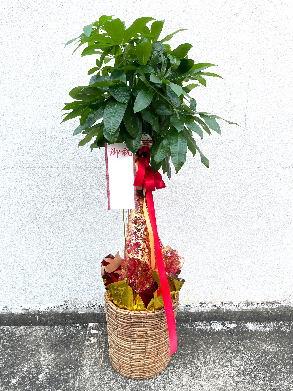 平戸市 花屋 観葉植物 タナカヤ花店